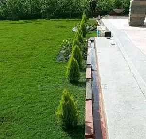 Racecourse Landscapers