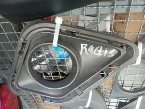 Toyota Ractis Foglight Cover