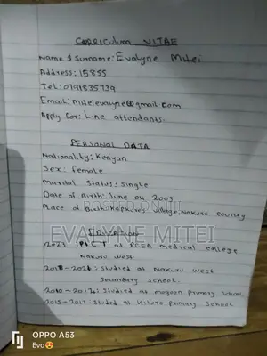 Housekeeping Cleaning CV