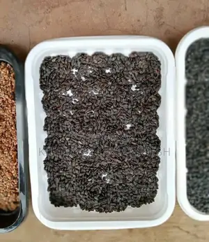 Indigenous and Exotic Tree Seeds 1 Kg.