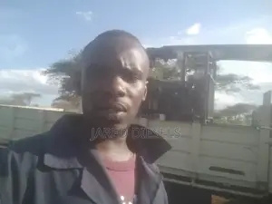 Diesel Generators Technician