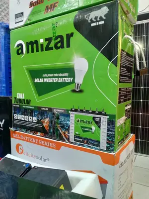 Amizar Tall Tubular Battery 200ah