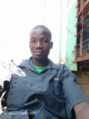 Experienced Male Sofa Cleaner