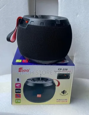 Fp229 Wireless Speaker Rechargeable Portable Radio