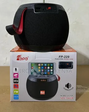 Fp229 Portable BT Speaker