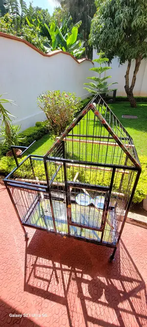 Fully Loaded Parrot Cage