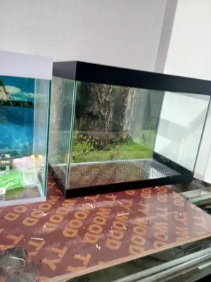 Complete Aquarium of Any Themed Color