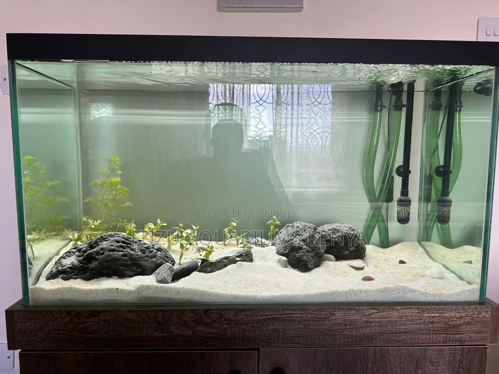 Aquarium White Sand (Pure White)
