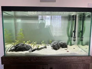 Aquarium White Sand (Pure White)