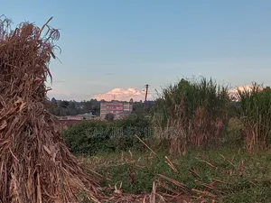 Eldoret Plots