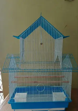 Budgies Cages, Spacious for Upto 2 Paird