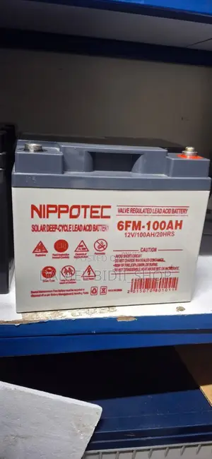 Nippotec 12v 100ah 20hr Solar Deep Cycle Battery