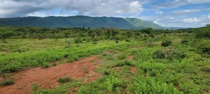 Prime Plots for Sale in Ngong, Kimuka