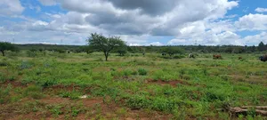7 Acres Land for Sale in Ngong