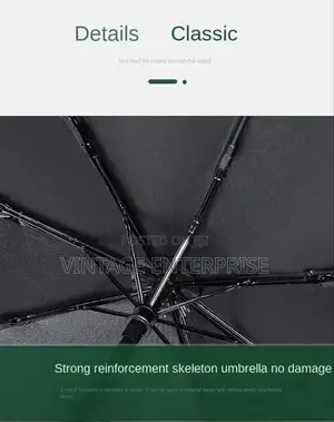 Travel Rain Sun Umbrella Windproof Muilt-Color Auto