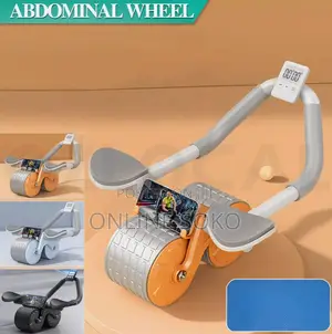Automatic Rebound 2 in 1 ABS Wheel Workout Gym Sports Equip