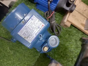 Steady Performance 0.5hp Pedrollo Water Pump