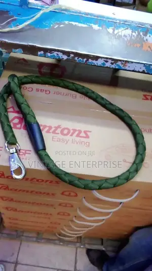 Dog Leash /