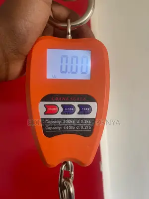Crane Scale 200kgs Digital Hanging Weighing Scale