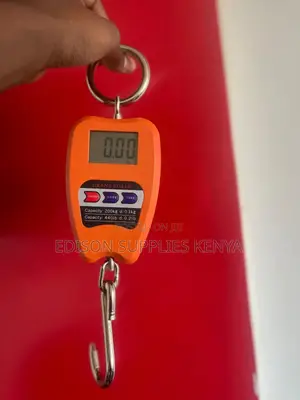 Crane Scale 200kgs Digital Hanging Weighing Scale