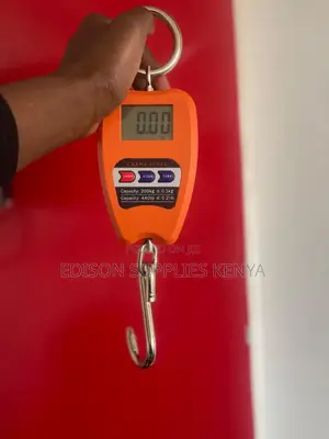 Crane Scale 200kgs Digital Hanging Weighing Scale