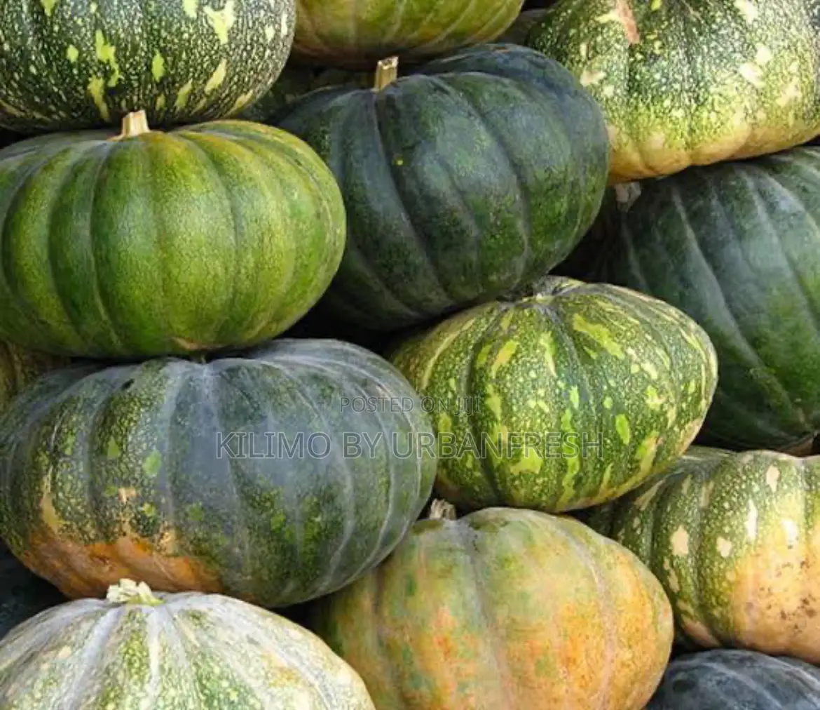 Pumpkin Seeds For Planting 25g.