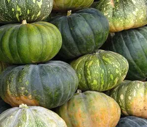 Pumpkin Seeds For Planting 25g.