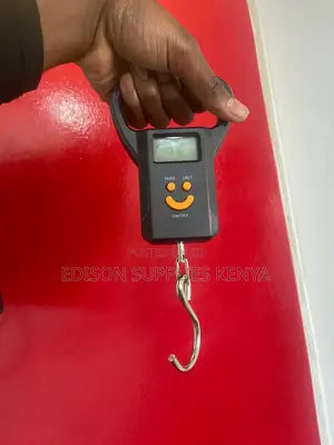50kg Digital Weighing Scale Portable Electronic Scale