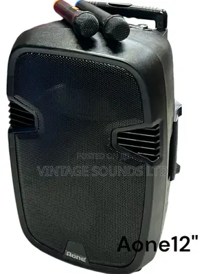 Aone 12inch Rechargeable Portable Amplified Powered Speaker