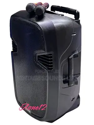 Aone 12inch Rechargeable Amplified Speaker With 2microphones