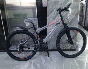 Adult Bike Size 24 With Gear. BMX Generic
