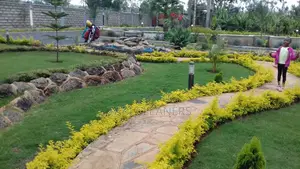 Landscaping and Gardening Services