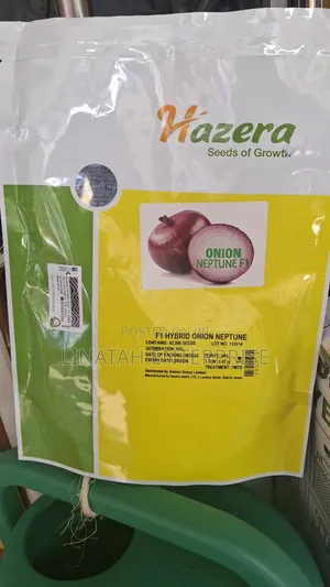 Neptune Onion Hybrid F1 250gms