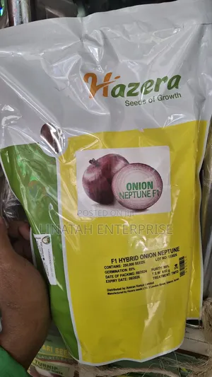 Neptune Onion Hybrid F1 1kg