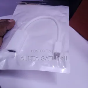 Mini Display Port to HDMI Adapter