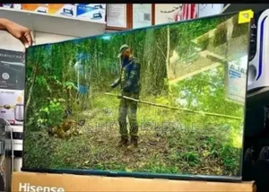 43 Inch Hisense Tv Smart Flameless.