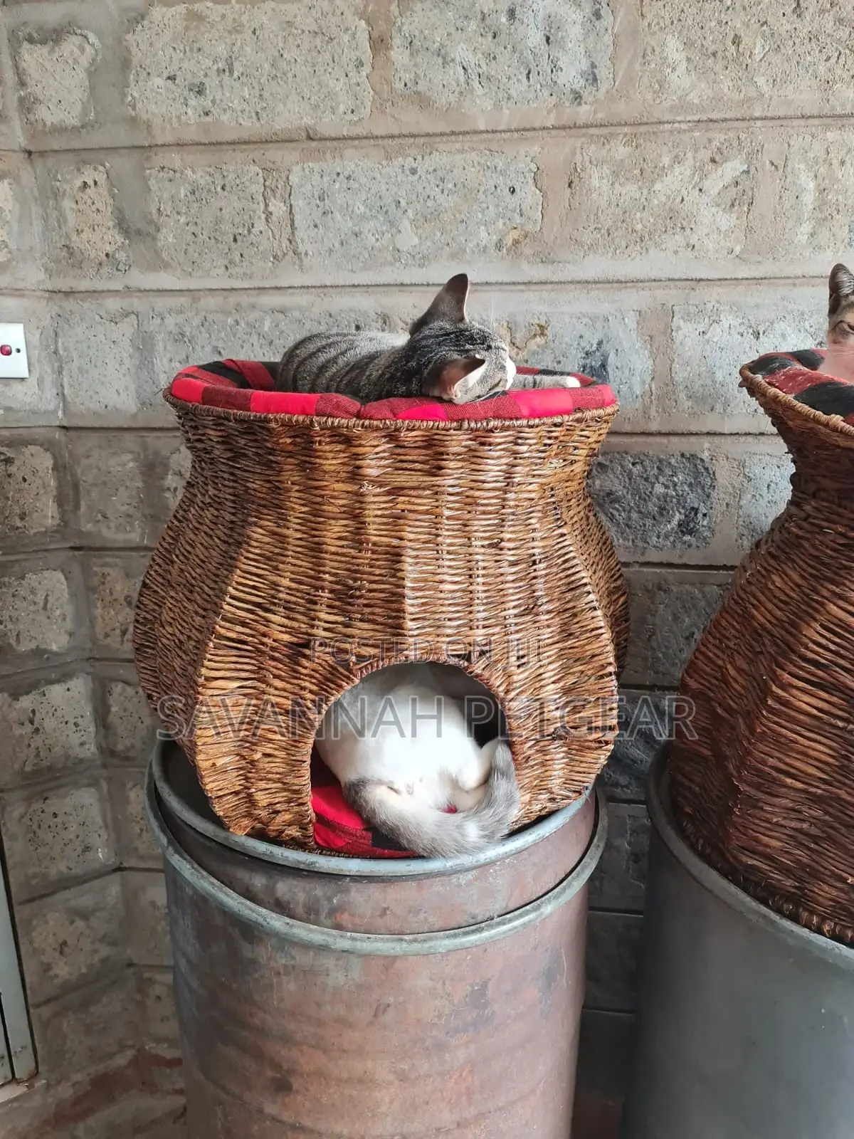 Round Cat Kitten House With a Cave
