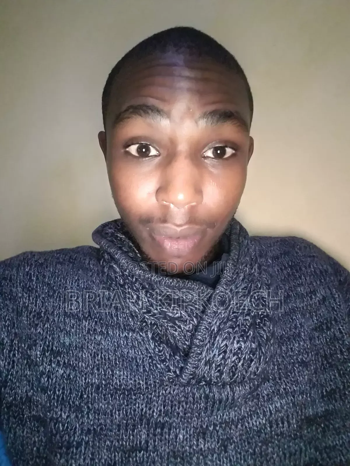 Software Developer