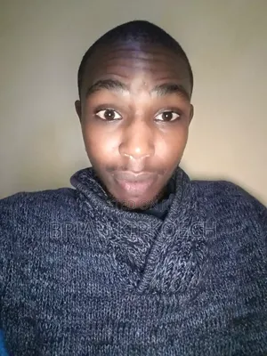 Software Developer