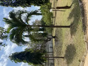 1 Acre for Sale in Nyali Mombasa