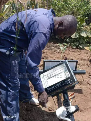 From Dusk Till Dawn: Why Solar Lights Are a Game Changer!