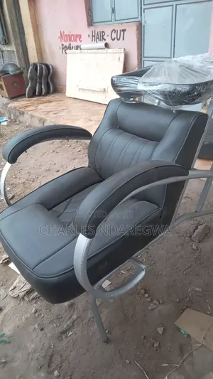 Professional Barber Chairs