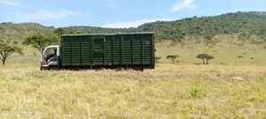 Mwas Logistics
