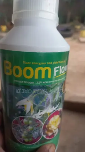Boom Flower 1 LTR