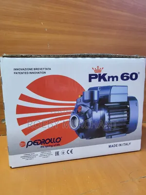 Pkm60 Pedrollo Booster Water Pump