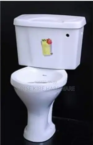 Good Quality Toilets Handle Flashing