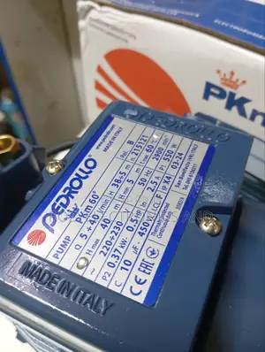 Pedrollo Water Pump 0.5hp