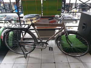 Raja Traditional Adult Bicycle