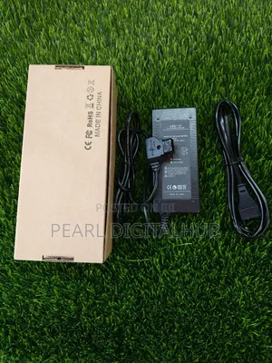 LBC v- Mount / v-Lock Battery Charger