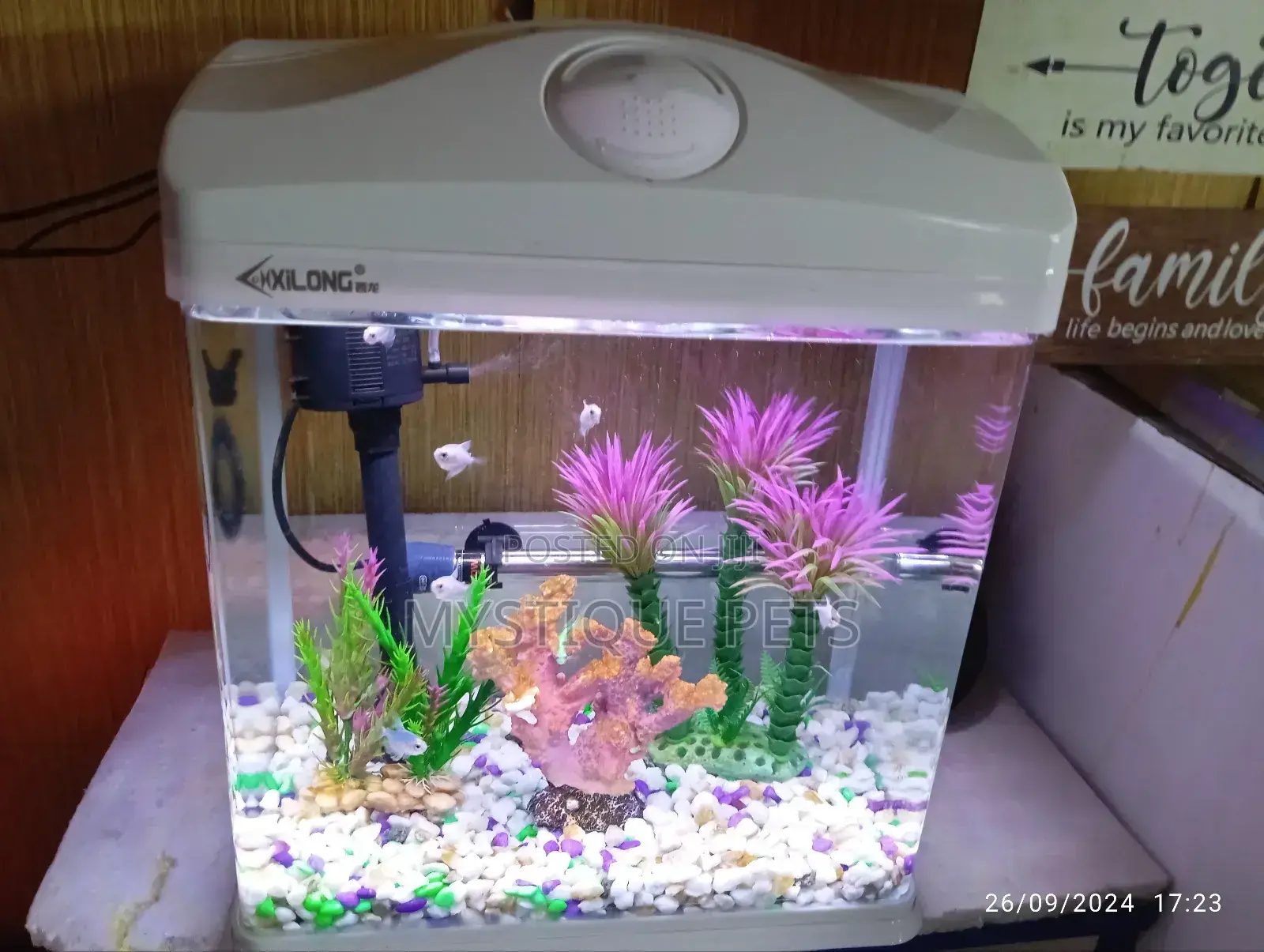 Imported Aquarium